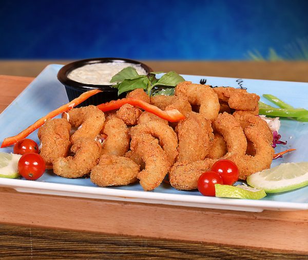 Fried Calamari