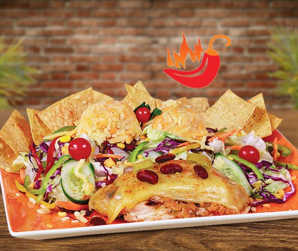 Grilled Mexican Chicken Salad